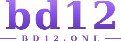 bd12 logo